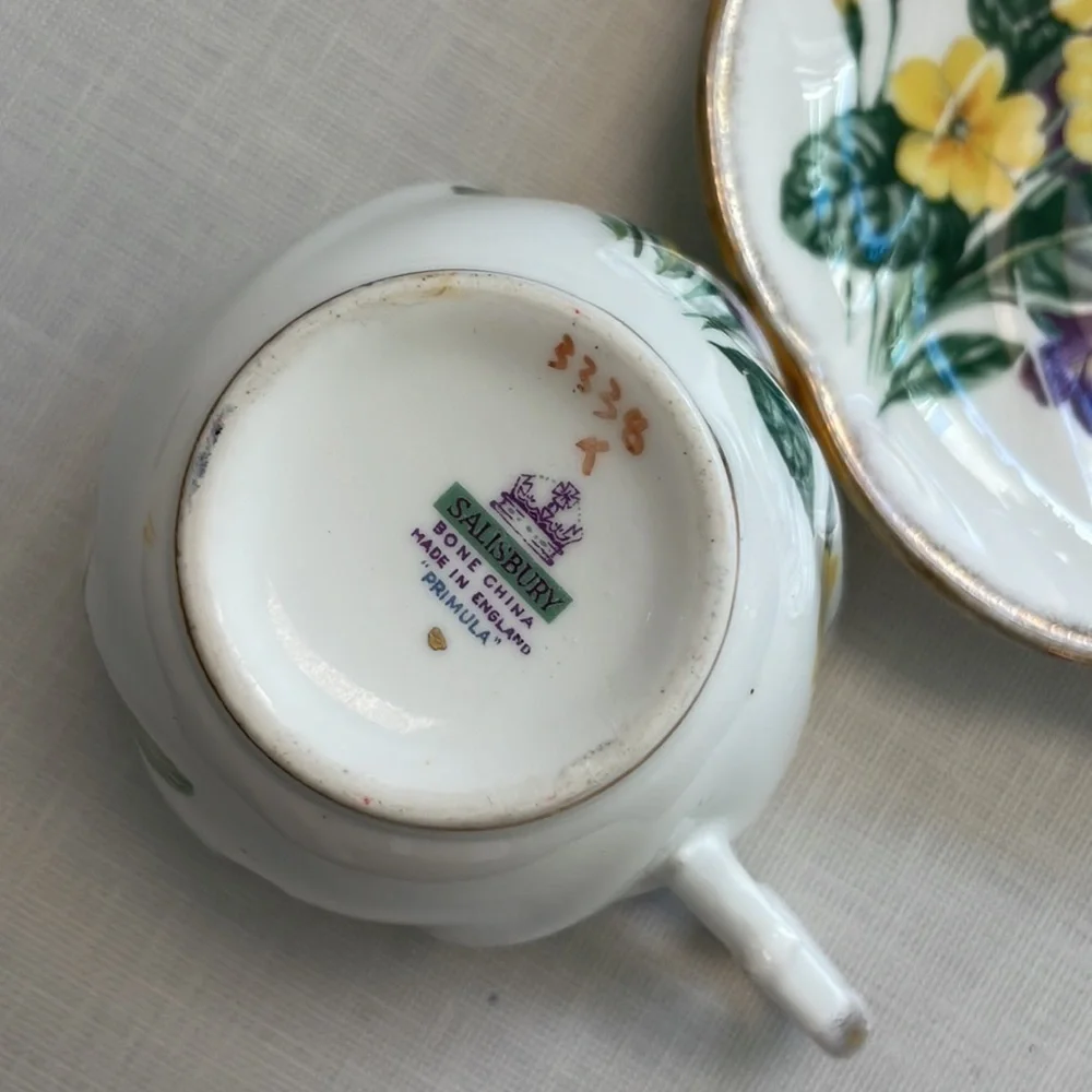Vintage Salisbury Bone China ☕️single teacup set